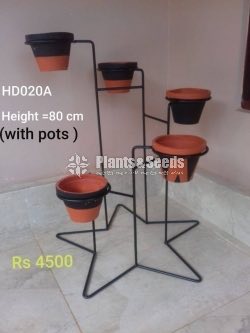 Decorative Pots and Stands