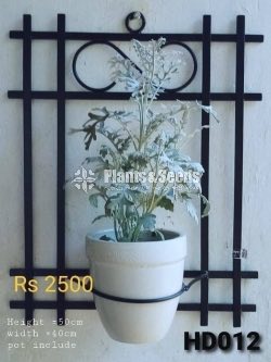 Decorative Pots and Stands