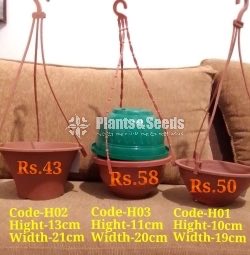 Panadura Plastic Pots