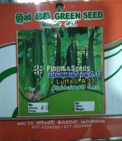 Vegetable Seeds 