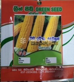 Vegetable Seeds 