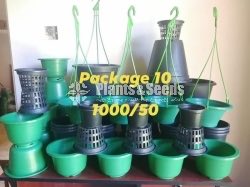 Plastic Pots