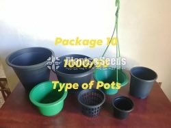 Plastic Pots