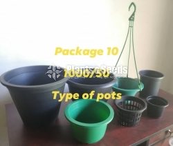 Plastic Pots