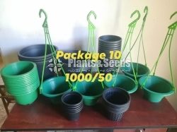 Plastic Pots