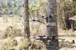 Coconut Plucking Machine (පොල් කඩන මැෂිම )