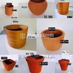 Clay Pots Collection