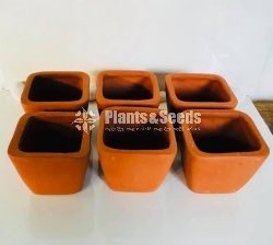 Clay Pots Collection