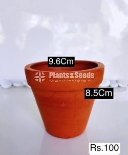 Clay Pots Collection