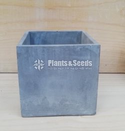 Cement Pots