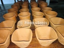 Handmade Clay Pots