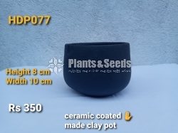 Ceramic Coated (Clay Pot)