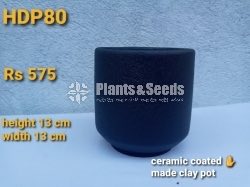 Ceramic Coated (Clay Pot)