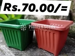 Plastic Pots