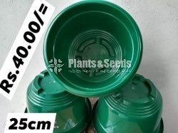 Plastic Pots