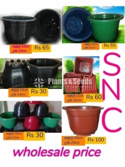 Plasic Flower Pots