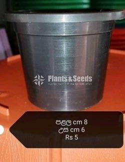 Plasic Flower Pots