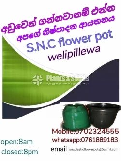 Plasic Flower Pots