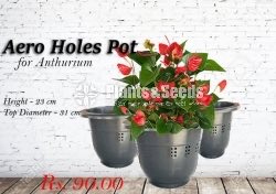 Aero Holes Pots