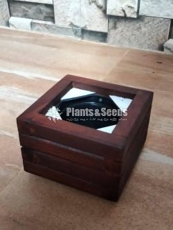 Wooden Plant Box