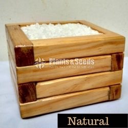 Wooden Plant Box