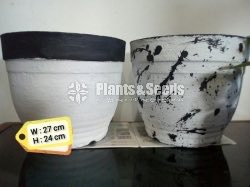 Cement Pots