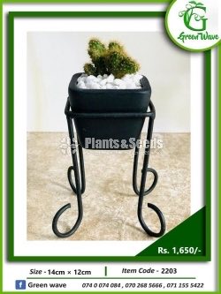 Plant Rack with Plants