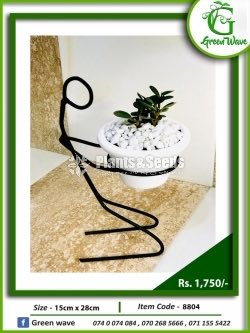 Plant Rack with Plants