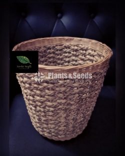 Rattan Basket Pot