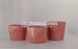 Ceremic Pots Collection