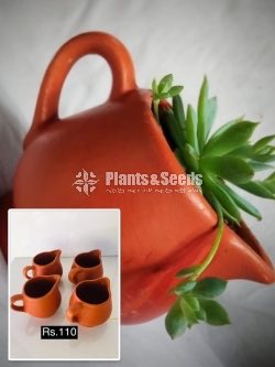 Decorative Clay Pot Collection