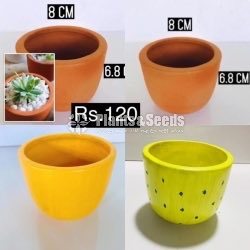 Decorative Clay Pot Collection