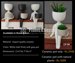 Ceremic Pots Collection