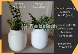 Ceremic Pots Collection