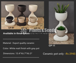 Ceremic Pots Collection