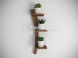 Wooden Plant Stand