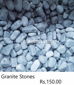 Natural Stones and Decorative Pebbles