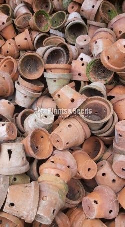 Used Orchid Clay Pots