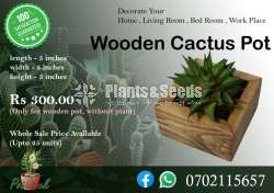 Wooden Pot-Cactus