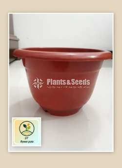 Plastic flower pots