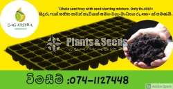 Seedling trays