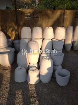 Cement Pots