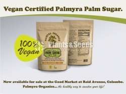 Palm Suger