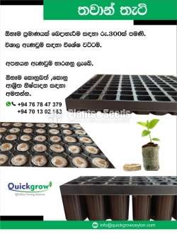 Seeding Trays