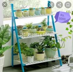 Plant Racks