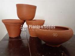 Clay Pots