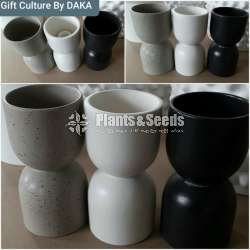 Ceremic Pots