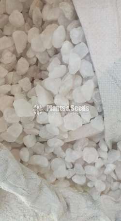 White color chip stones