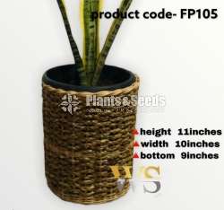 Cane Plant Pots (Cane & Palm)