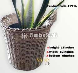 Cane Plant Pots (Cane & Palm)